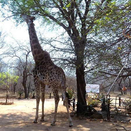 Weltevrede Lodge - Self Catering Houses 玛洛斯帕克 外观 照片