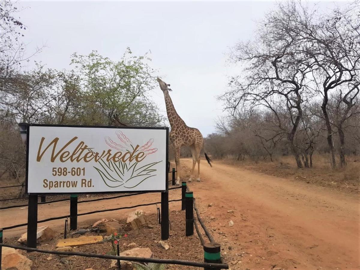 Weltevrede Lodge - Self Catering Houses 玛洛斯帕克 外观 照片